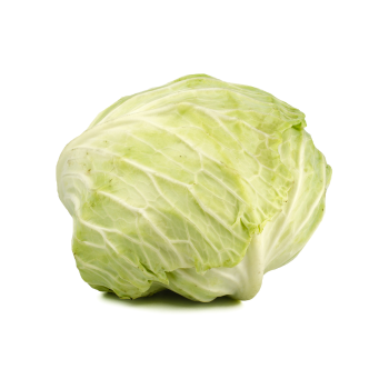 Cabbage